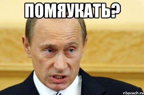 помяукать? , Мем путин