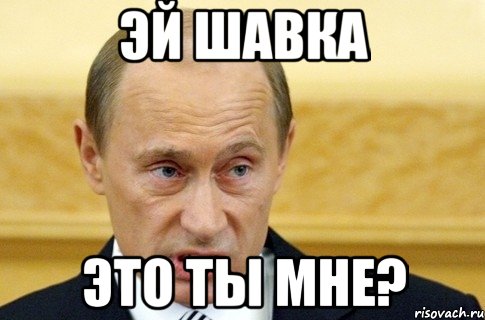 эй шавка это ты мне?, Мем путин