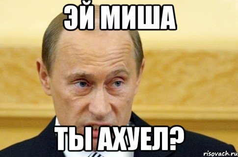 эй миша ты ахуел?, Мем путин