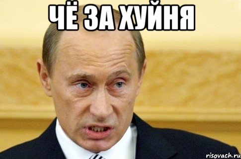 чё за хуйня , Мем путин