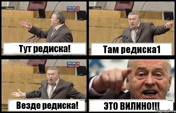 Тут редиска! Там редиска1 Везде редиска! ЭТО ВИЛИНО!!!, Комикс с Жириновским