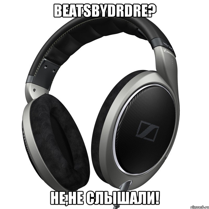 beatsbydrdre? не,не слышали!, Мем Sennheiser