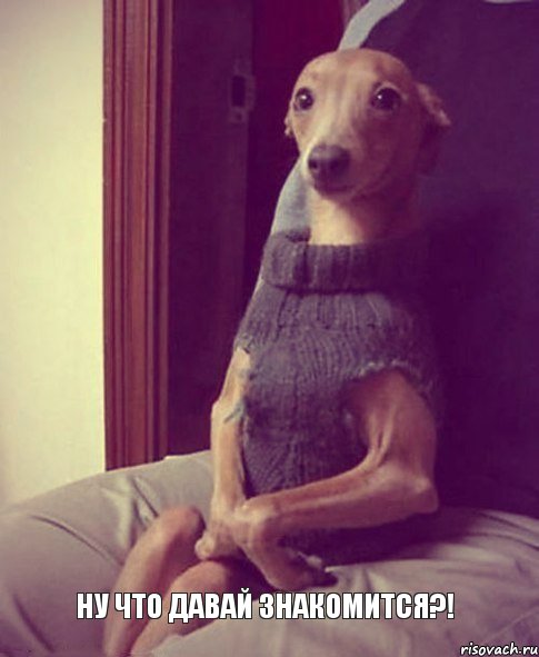 Ну что давай знакомится?!, Комикс snoop dogg