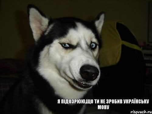 я ПІДОЗРЮЮ,щО ТИ НЕ ЗРОБИВ УКРАЇНСЬКУ МОВУ, Комикс  Собака подозревака