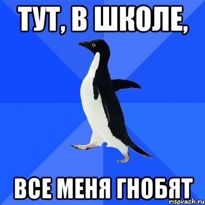 тут, в школе, все меня гнобят, Мем  Социально-неуклюжий пингвин