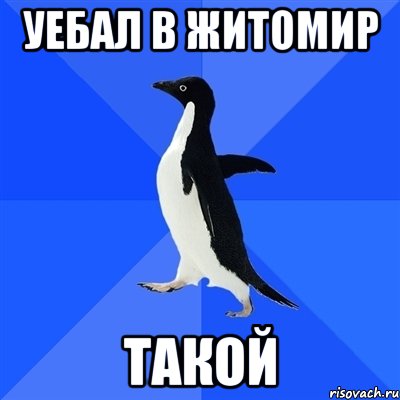 уебал в житомир такой, Мем  Социально-неуклюжий пингвин