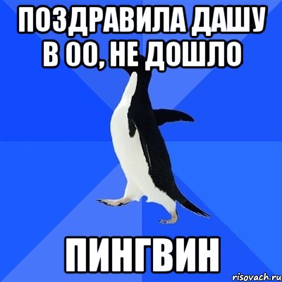 поздравила дашу в 00, не дошло пингвин, Мем  Социально-неуклюжий пингвин