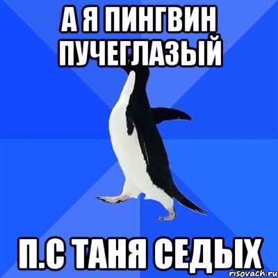 а я пингвин пучеглазый п.с таня седых, Мем  Социально-неуклюжий пингвин