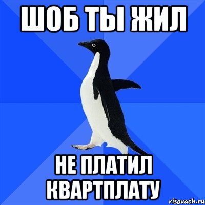 шоб ты жил не платил квартплату, Мем  Социально-неуклюжий пингвин