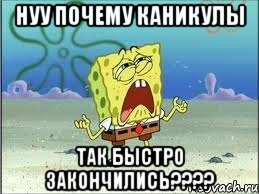 нуу почему каникулы так быстро закончились???