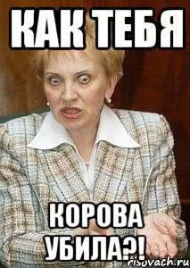 как тебя корова убила?!