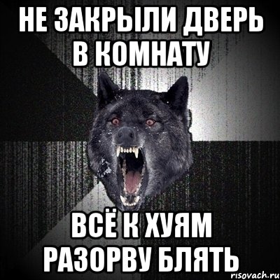 не закрыли дверь в комнату всё к хуям разорву блять, Мем Сумасшедший волк