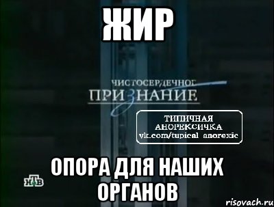 жир опора для наших органов, Мем типичная анорексичка нтв