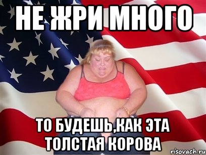 не жри много то будешь,как эта толстая корова, Мем Толстая американка