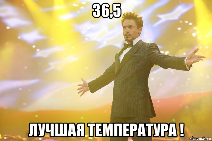 36,5 лучшая температура !, Мем Тони Старк (Роберт Дауни младший)