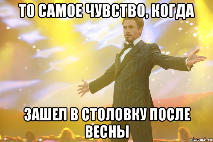 то самое чувство, когда зашел в столовку после весны, Мем Тони Старк (Роберт Дауни младший)