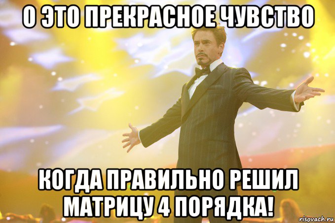 о это прекрасное чувство когда правильно решил матрицу 4 порядка!, Мем Тони Старк (Роберт Дауни младший)