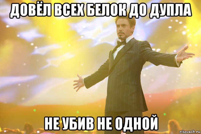 довёл всех белок до дупла не убив не одной, Мем Тони Старк (Роберт Дауни младший)