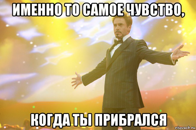 именно то самое чувство, когда ты прибрался, Мем Тони Старк (Роберт Дауни младший)