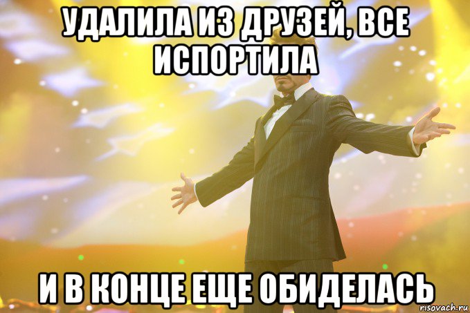 удалила из друзей, все испортила и в конце еще обиделась, Мем Тони Старк (Роберт Дауни младший)