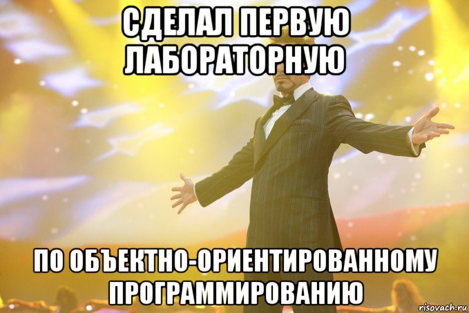 сделал первую лабораторную по объектно-ориентированному программированию, Мем Тони Старк (Роберт Дауни младший)