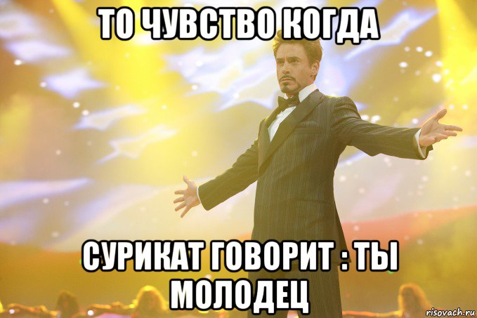 то чувство когда сурикат говорит : ты молодец, Мем Тони Старк (Роберт Дауни младший)