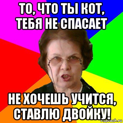 то, что ты кот, тебя не спасает не хочешь учится, ставлю двойку!, Мем Типичная училка