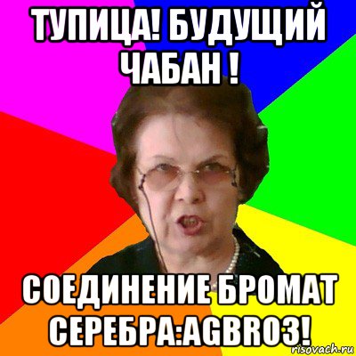 тупица! будущий чабан ! соединение бромат серебра:agbro3!, Мем Типичная училка