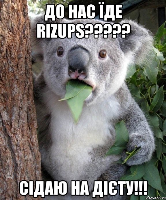 до нас їде rizups??? сідаю на дієту!!!