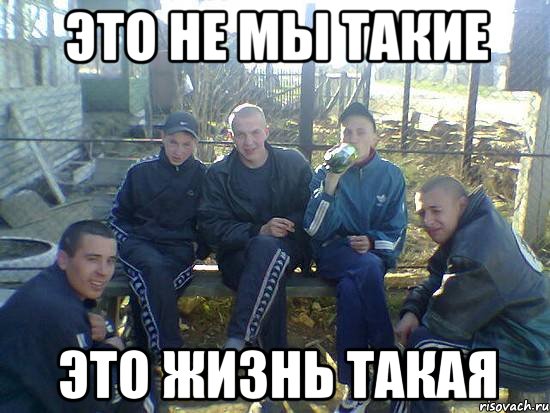 это не мы такие это жизнь такая, Мем в ожидании