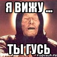 я вижу ... ты гусь, Мем Ванга (цвет)