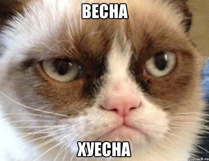 весна хуесна, Мем весна хуесна