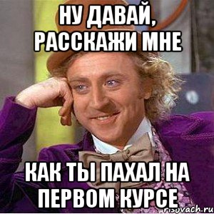 ну давай, расскажи мне как ты пахал на первом курсе, Мем Ну давай расскажи (Вилли Вонка)