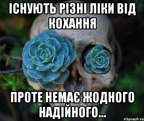 існують різні ліки від кохання проте немає жодного надійного…, Мем вов