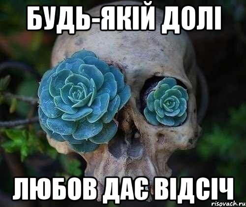 будь-якій долі любов дає відсіч, Мем вов