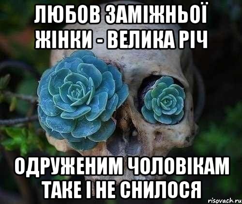 любов заміжньої жінки - велика річ одруженим чоловікам таке і не снилося, Мем вов