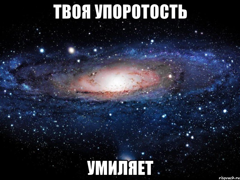 твоя упоротость умиляет, Мем Вселенная