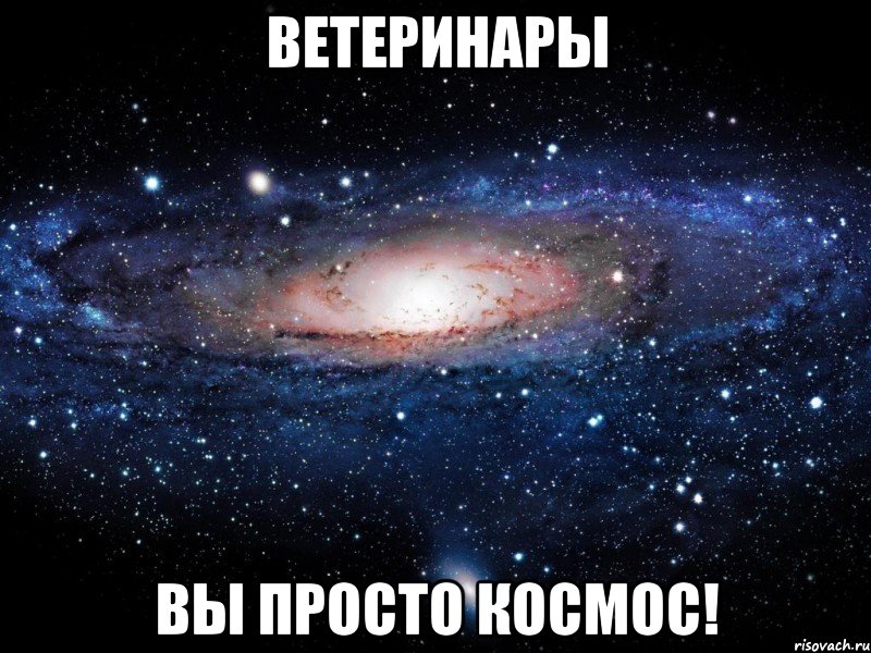 ветеринары вы просто космос!, Мем Вселенная