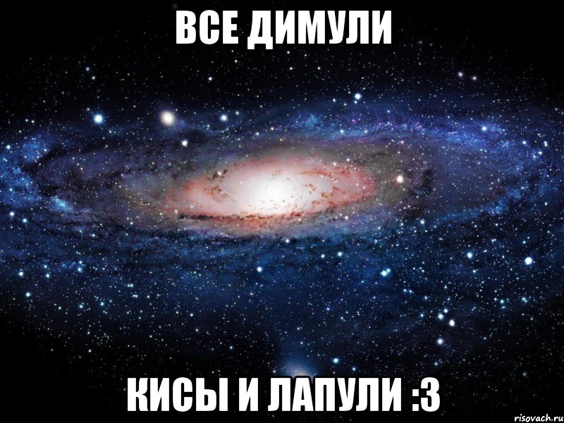 все димули кисы и лапули :з, Мем Вселенная