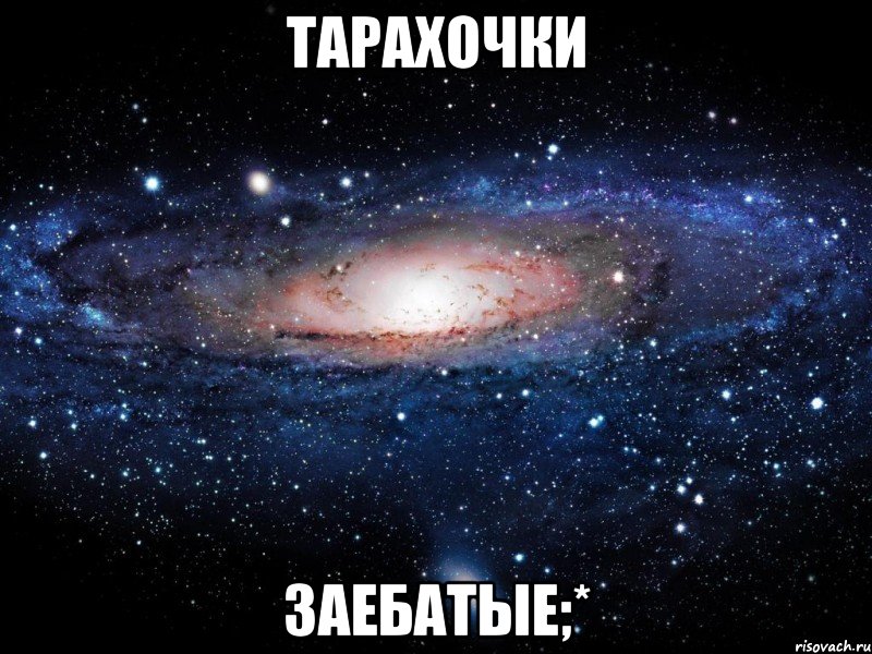 тарахочки заебатые;*, Мем Вселенная