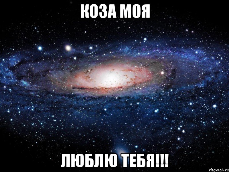 коза моя люблю тебя!!!, Мем Вселенная