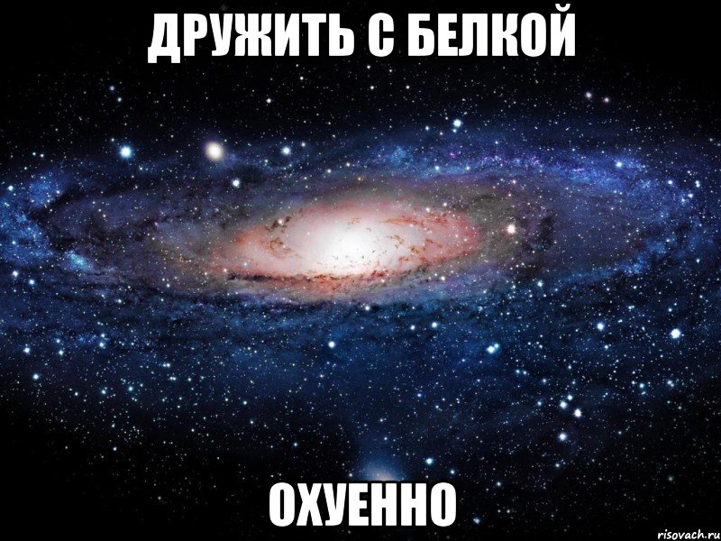 дружить с белкой охуенно, Мем Вселенная