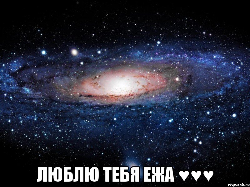  люблю тебя ежа ♥♥♥, Мем Вселенная