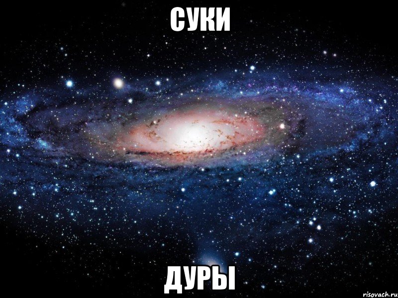 суки дуры, Мем Вселенная