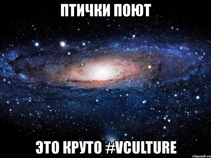 птички поют это круто #vculture, Мем Вселенная