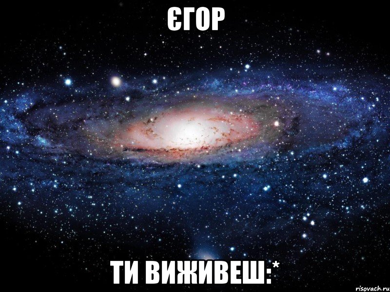 єгор ти виживеш:*, Мем Вселенная