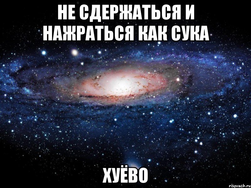 не сдержаться и нажраться как сука хуёво, Мем Вселенная