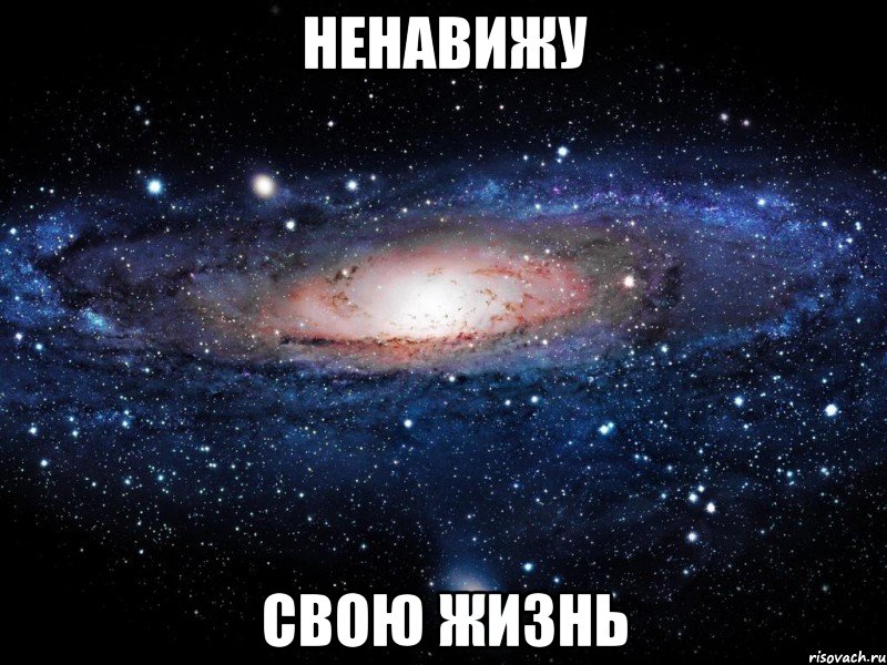 ненавижу свою жизнь, Мем Вселенная