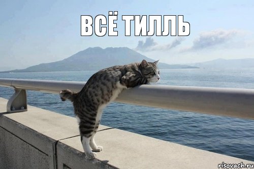 Всё Тилль