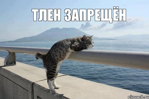 тлен запрещён